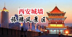 美女嫩b被艹中国陕西-西安城墙旅游风景区